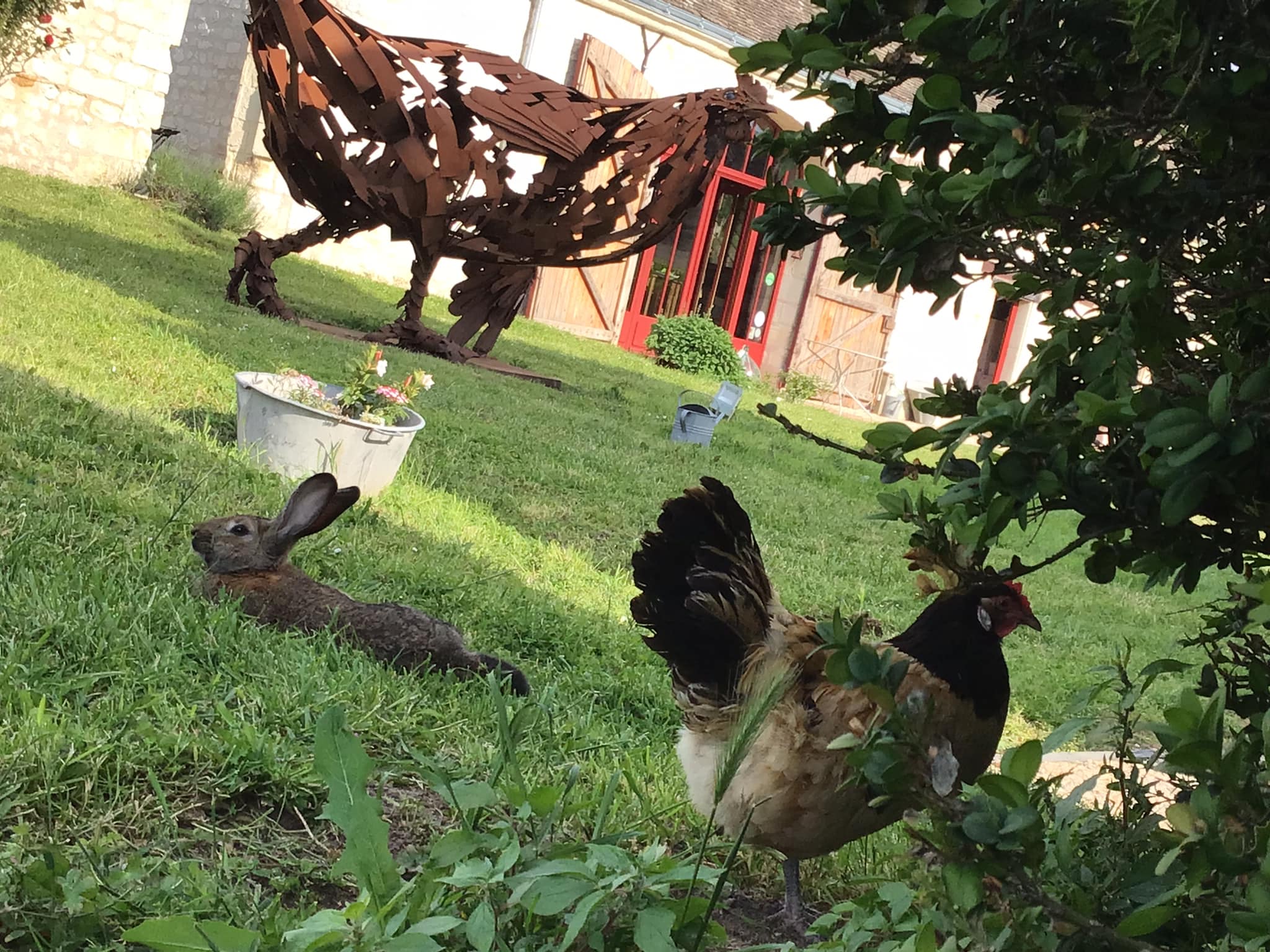 Photo de Immersion gourmande au cœur de la vigne
