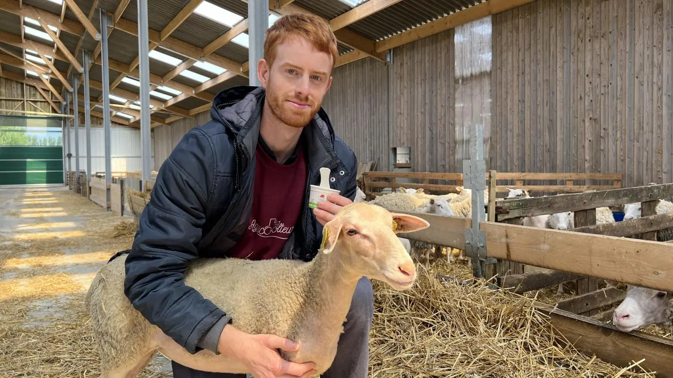 La Ferme de l'Haezepoël