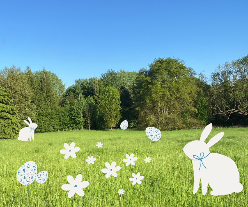 Photo de Grande Chasse aux oeufs dans la nature