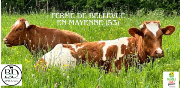 GAEC DE BELLEVUE DAVID