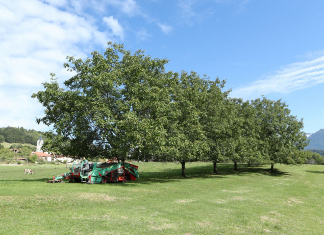 Photo de La Ferme des Valnoix