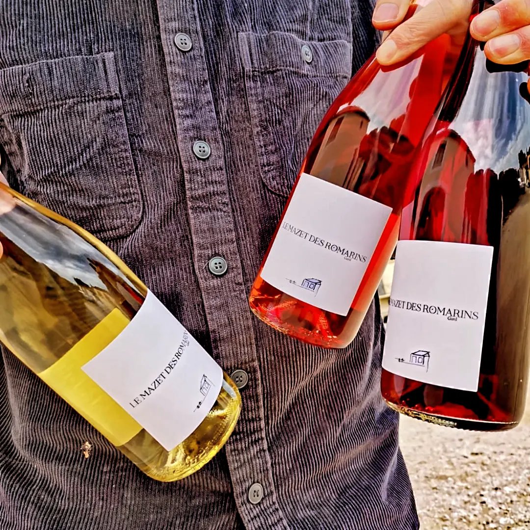 Photo de Visite de cave et dégustation