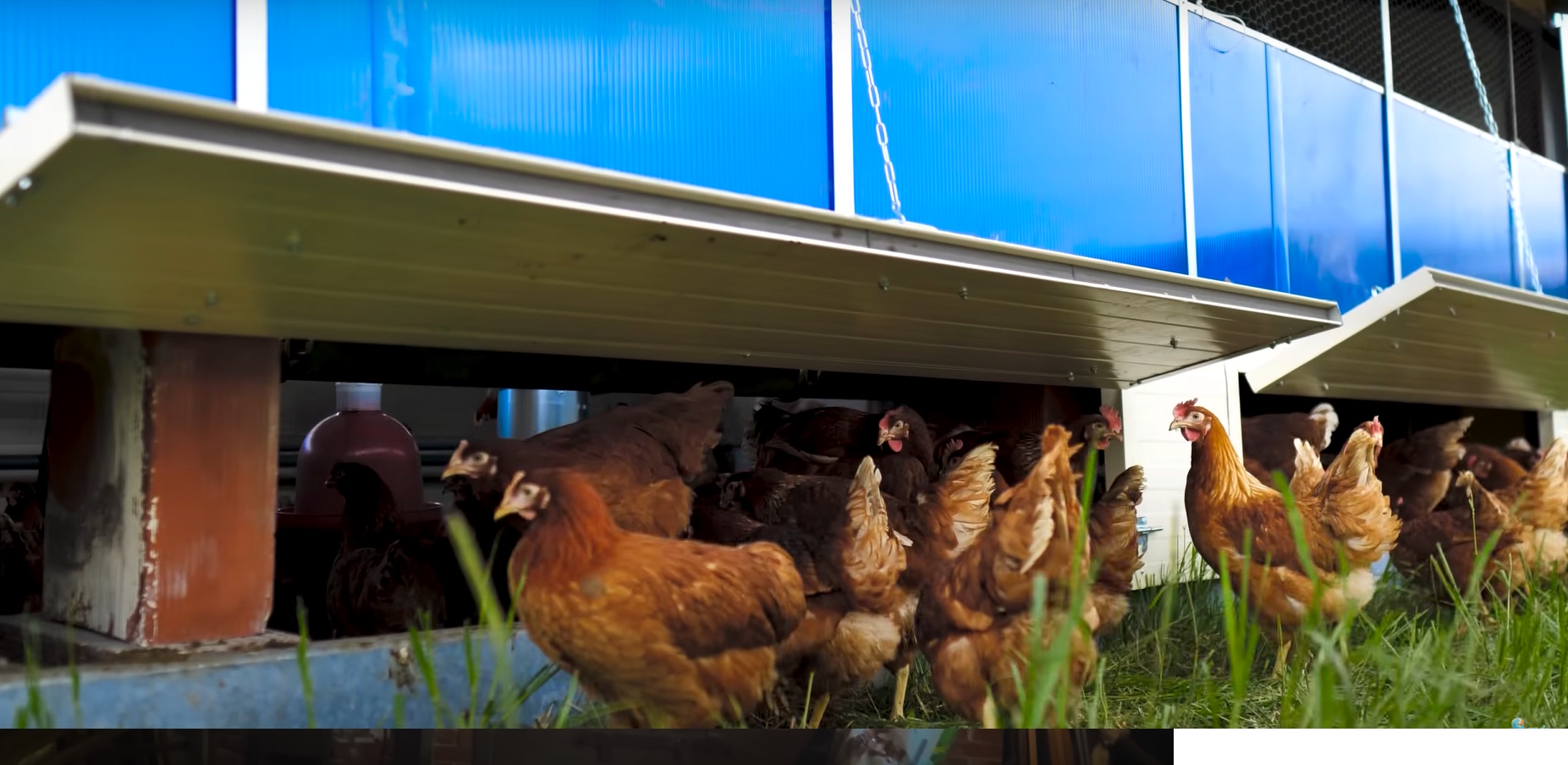 Photo de Visite de la ferme