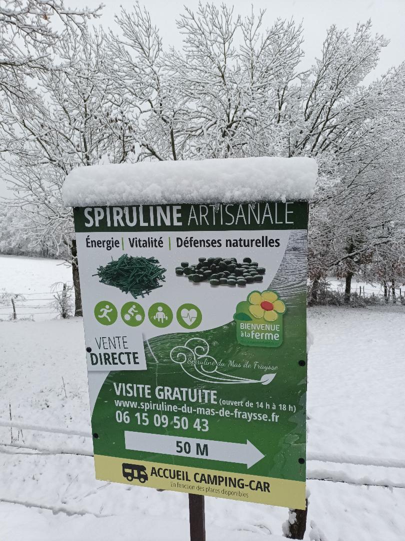 Photo de spiruline du mas de fraysse