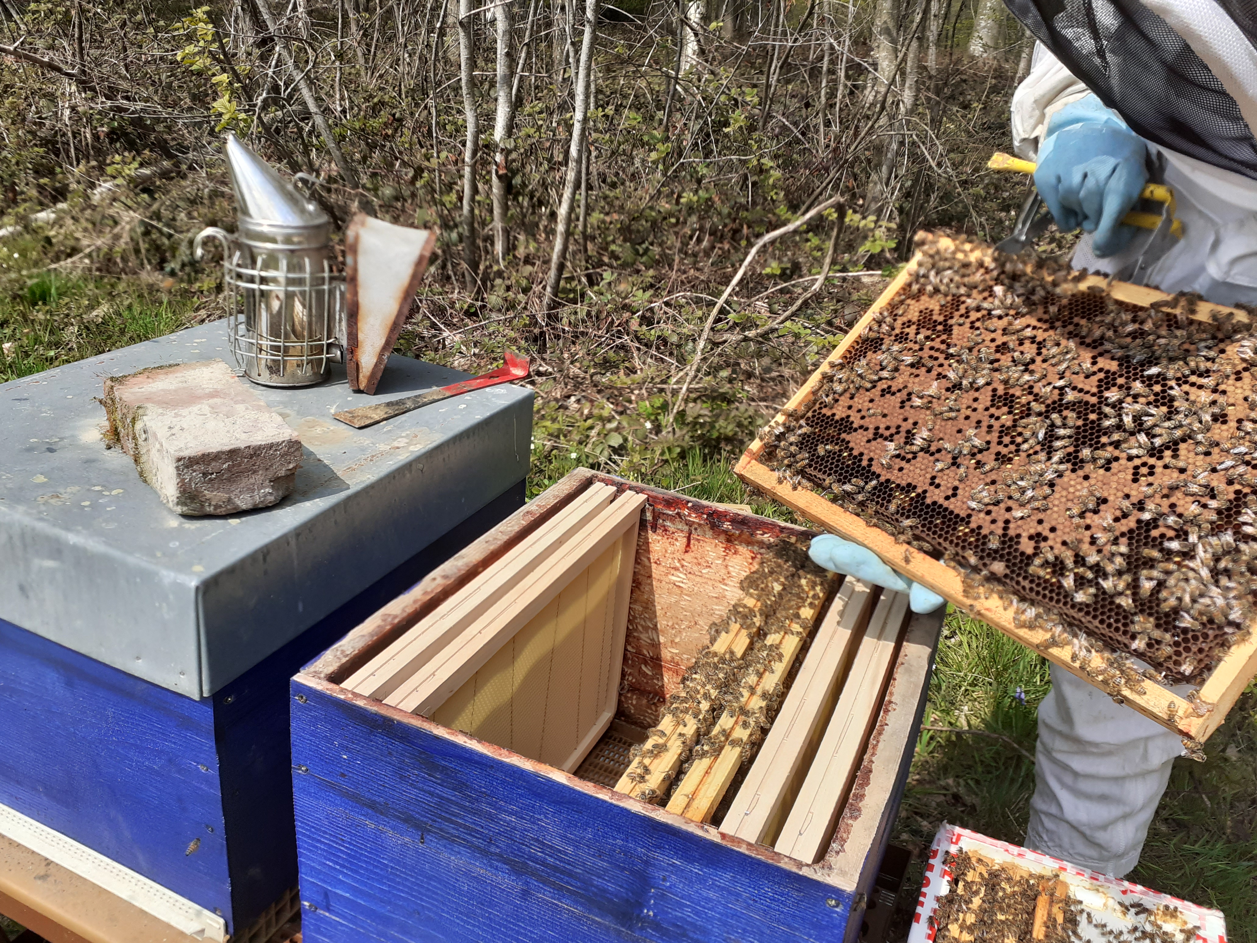 Photo de L'HappyCulture de Lucie