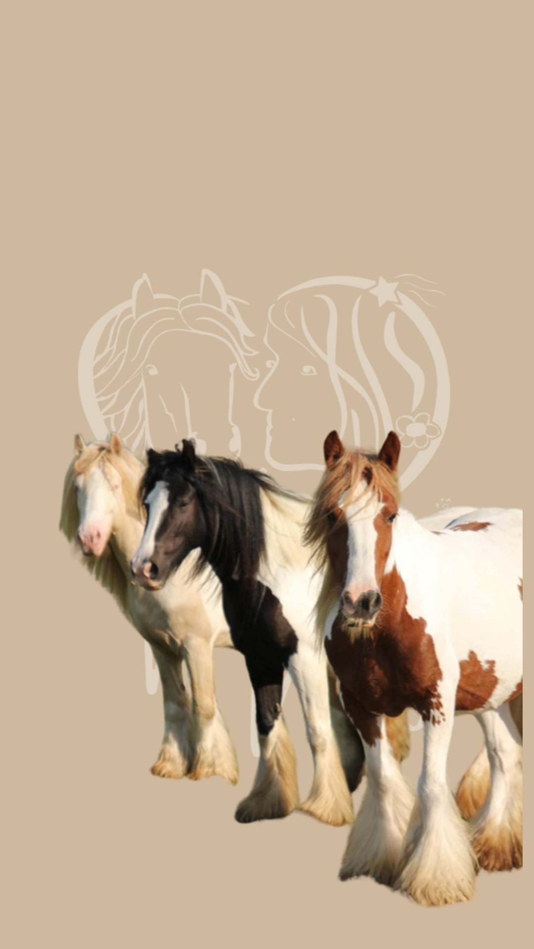 Photo de Élevage Maly 