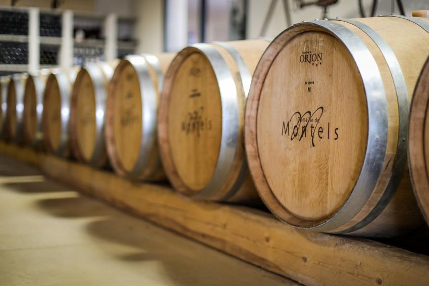 Photo de VIGNOBLES ROMAIN