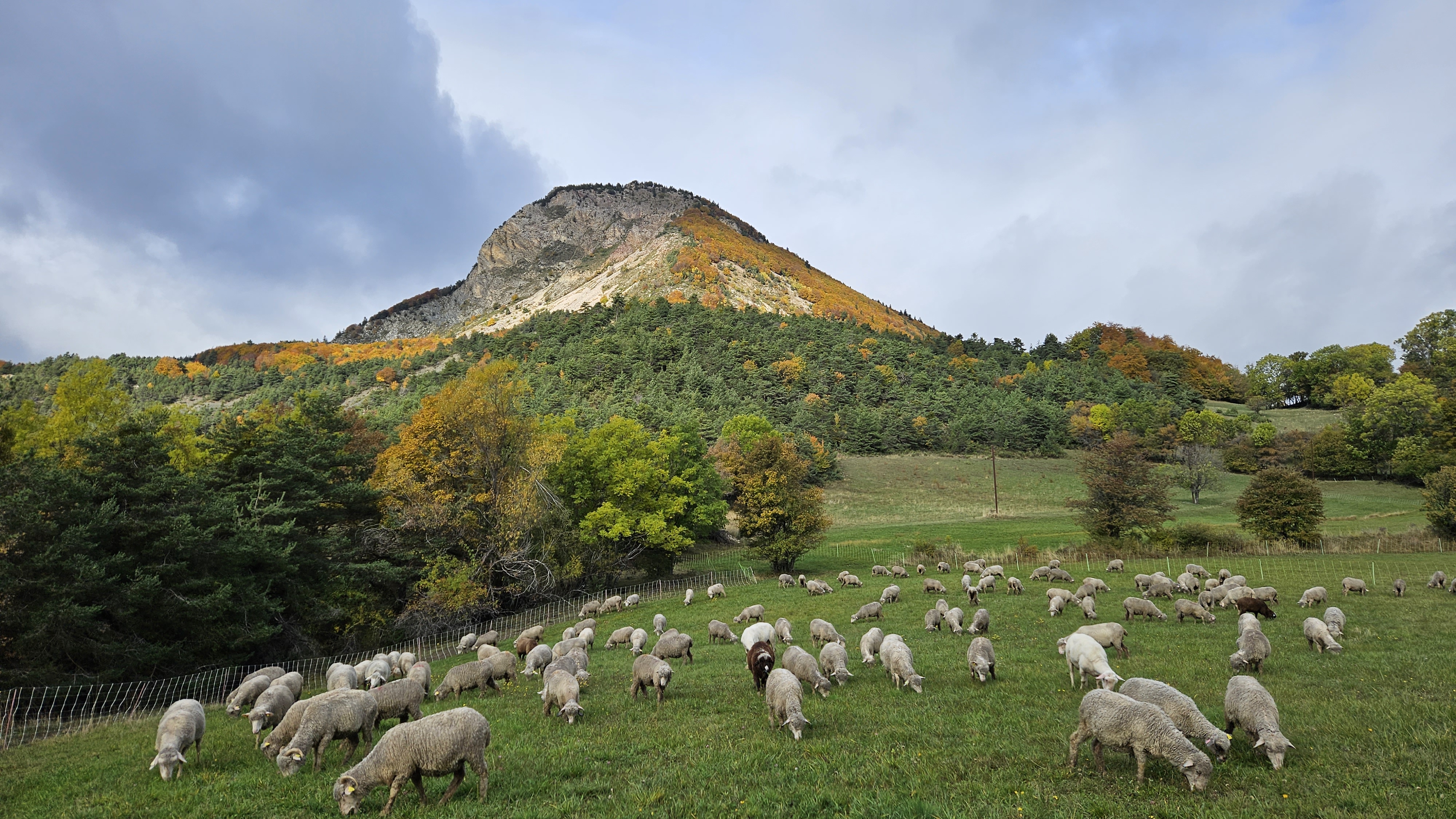 La ferme de mon père