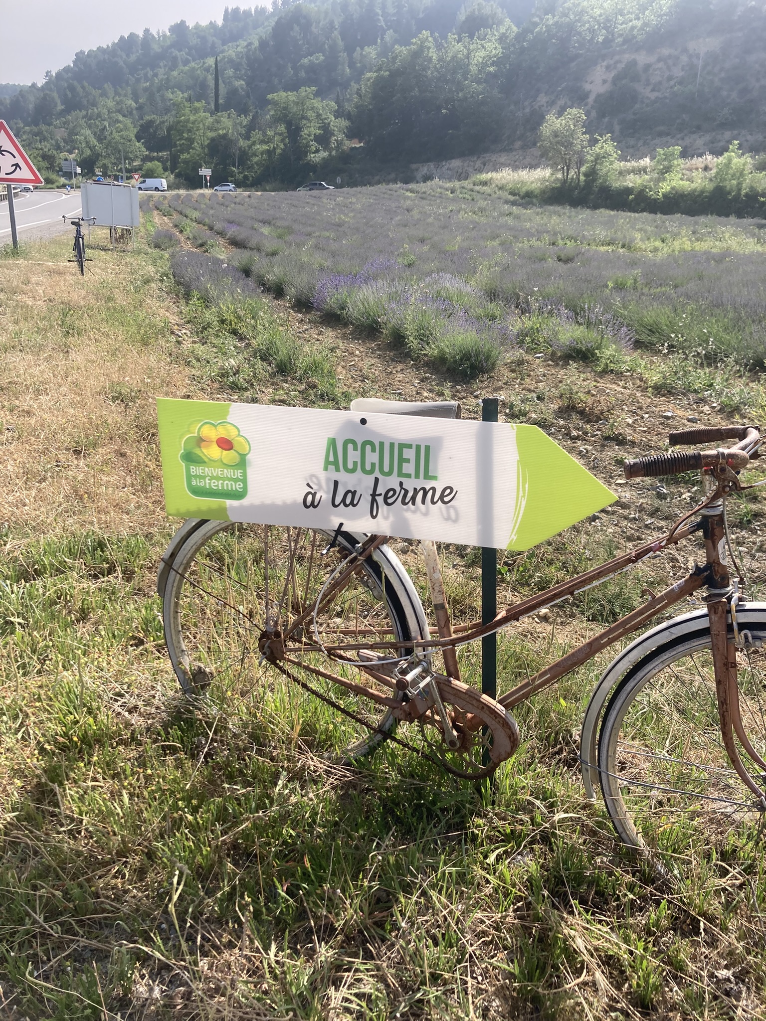 Photo de Bleu d'Argens