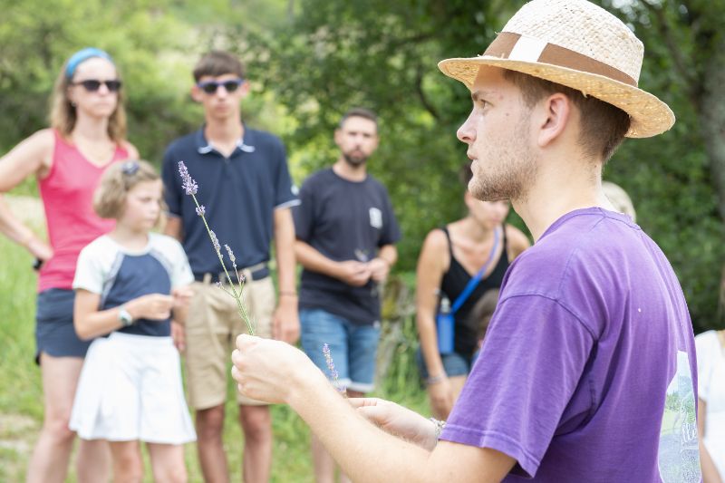 Photo de Visite guidée d’une distillerie d’huile essentielle dans la Drôme