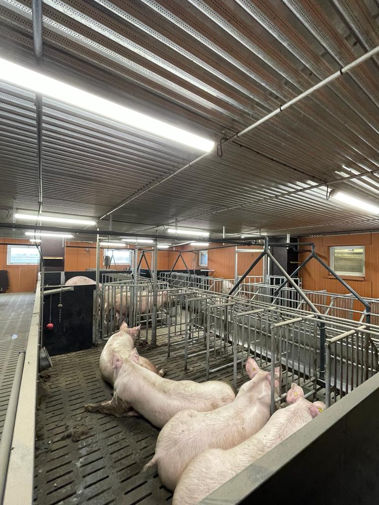 Photo de Visite à la ferme