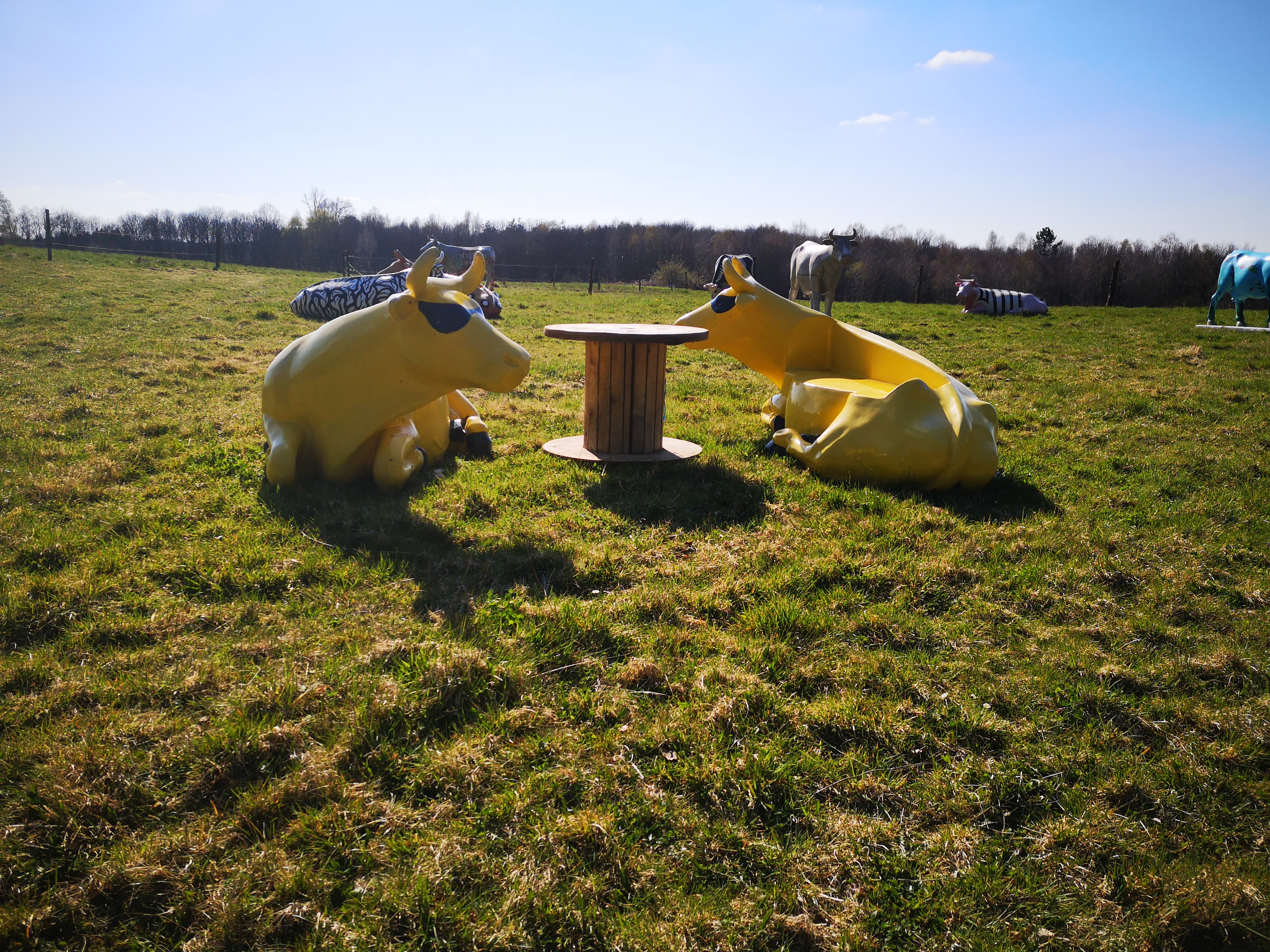 Photo de LA FERME DE LA BITARELLE - 