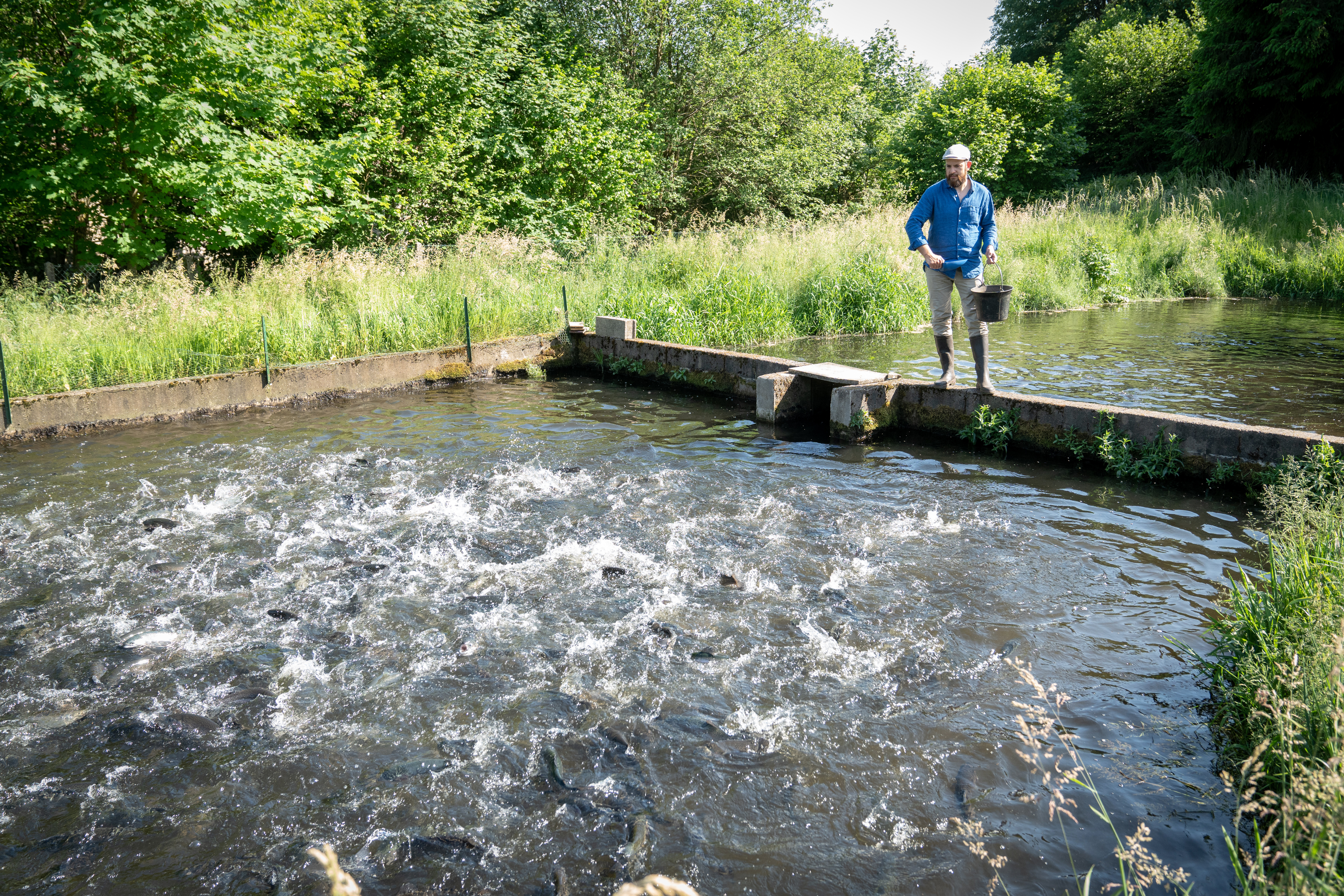 Photo de SCEA PISCICULTURE DU BREUCHIN 