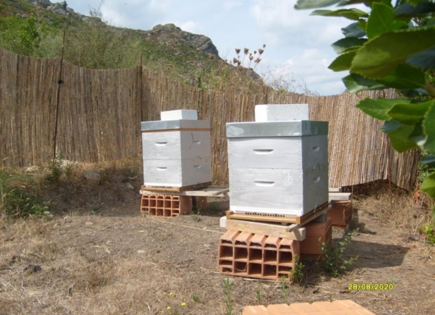 Photo de La Canardière