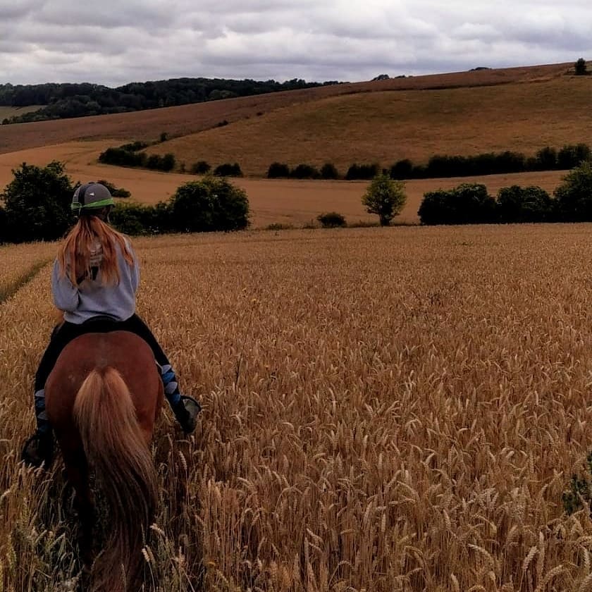 Photo de Balade à cru à cheval Islandais