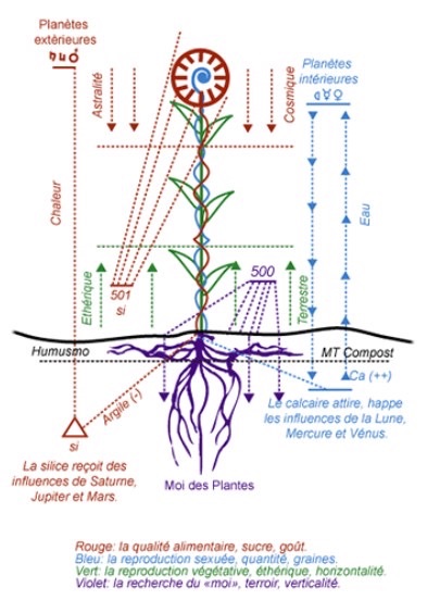 Photo de Visite de domaine et dégustation 