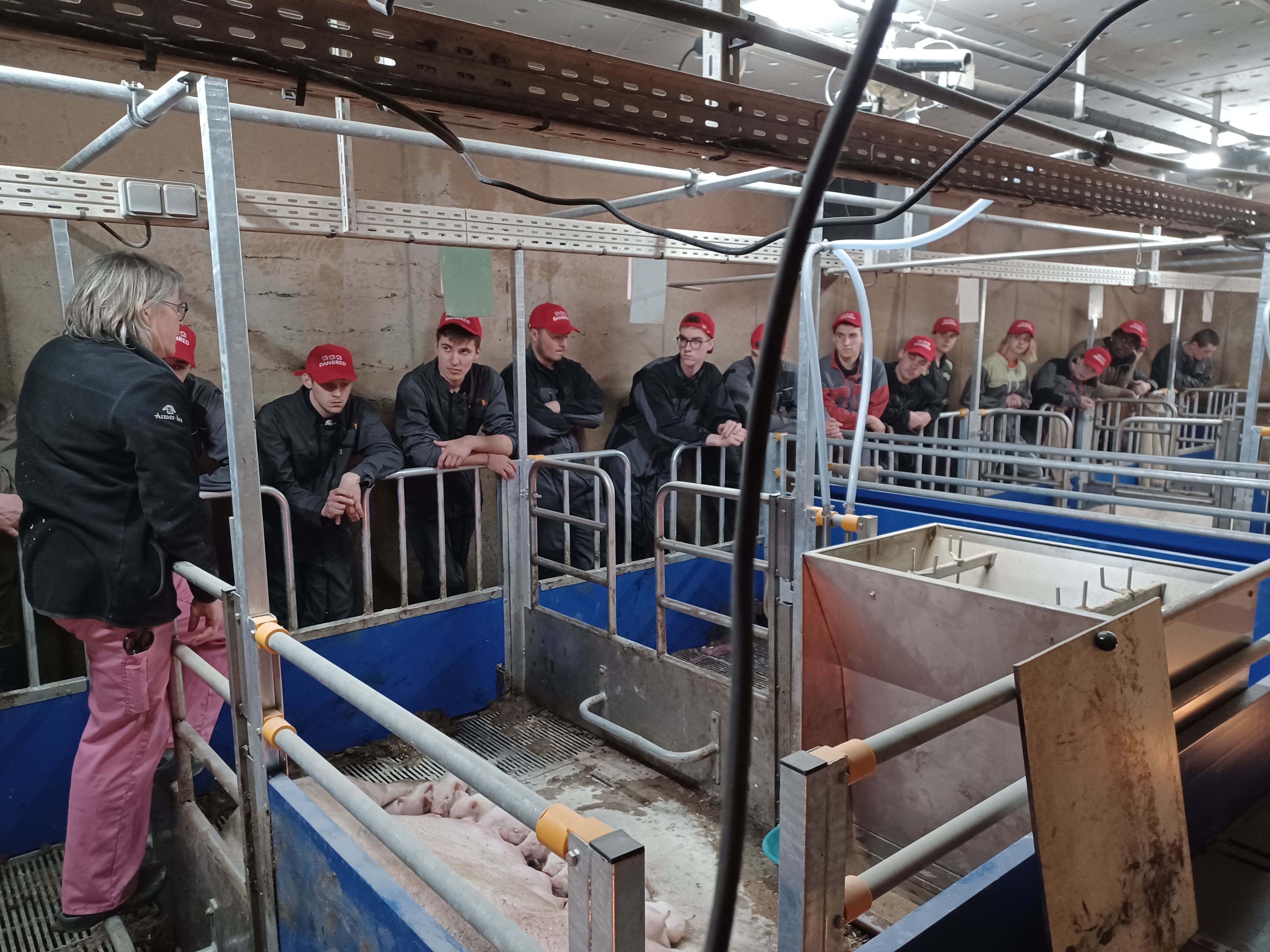 Photo de Visite à la ferme