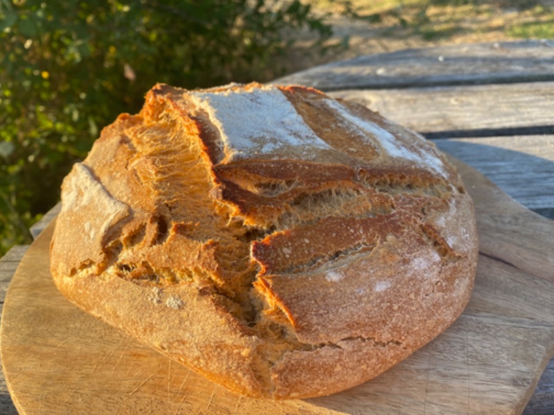 Photo de Atelier pain au levain