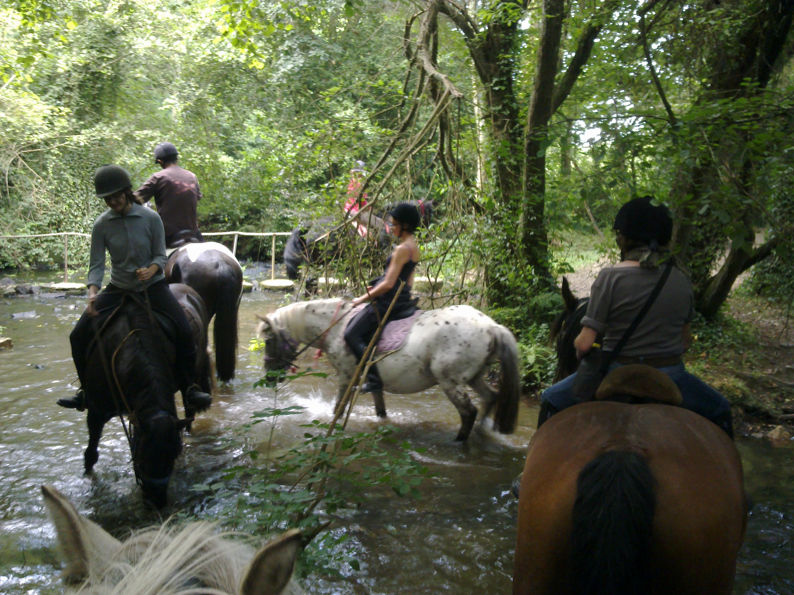 Photo de ecurie leseigneur