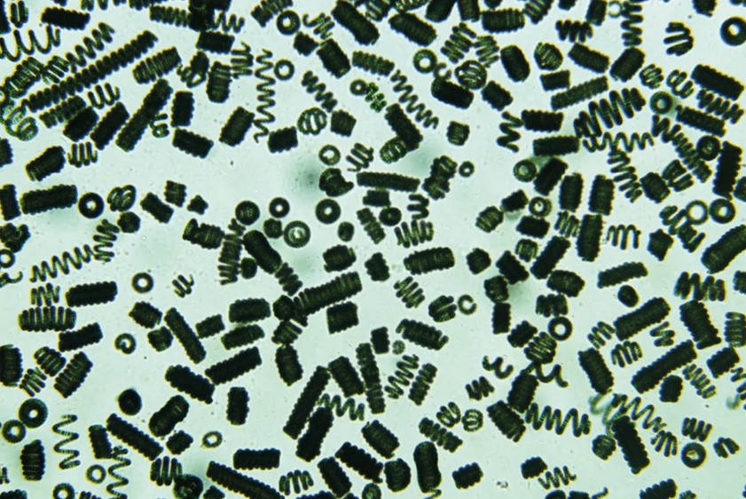 Photo de GAEC du Puy de la Velle