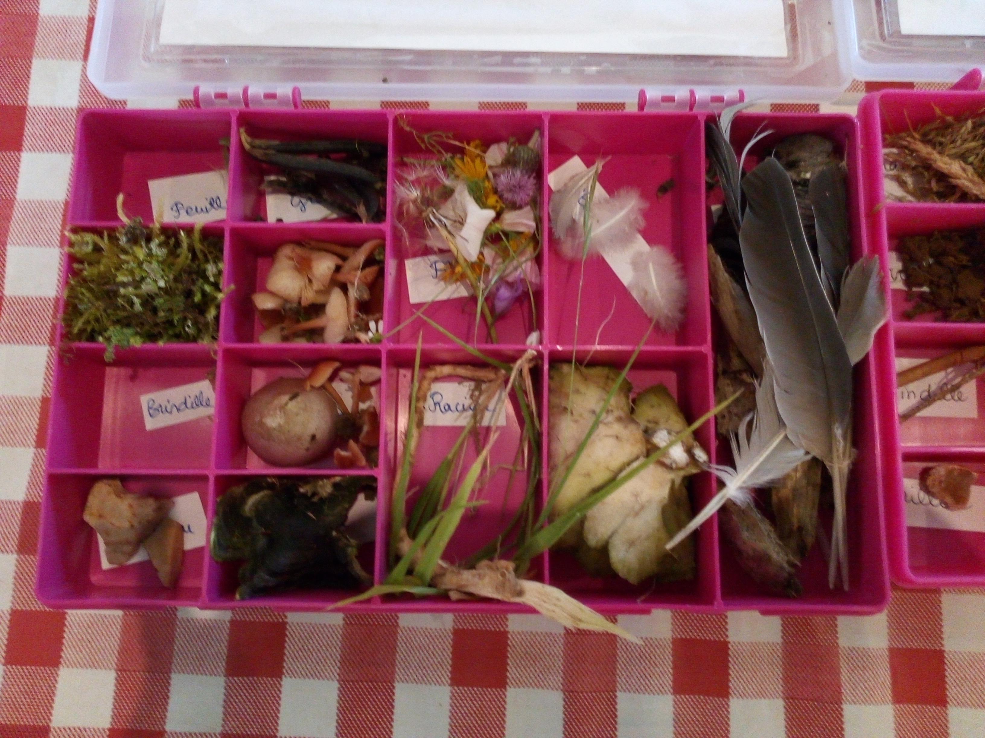 Photo de Ferme de la Choltière