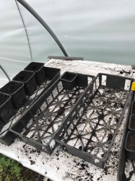 Photo de atelier semis de printemps