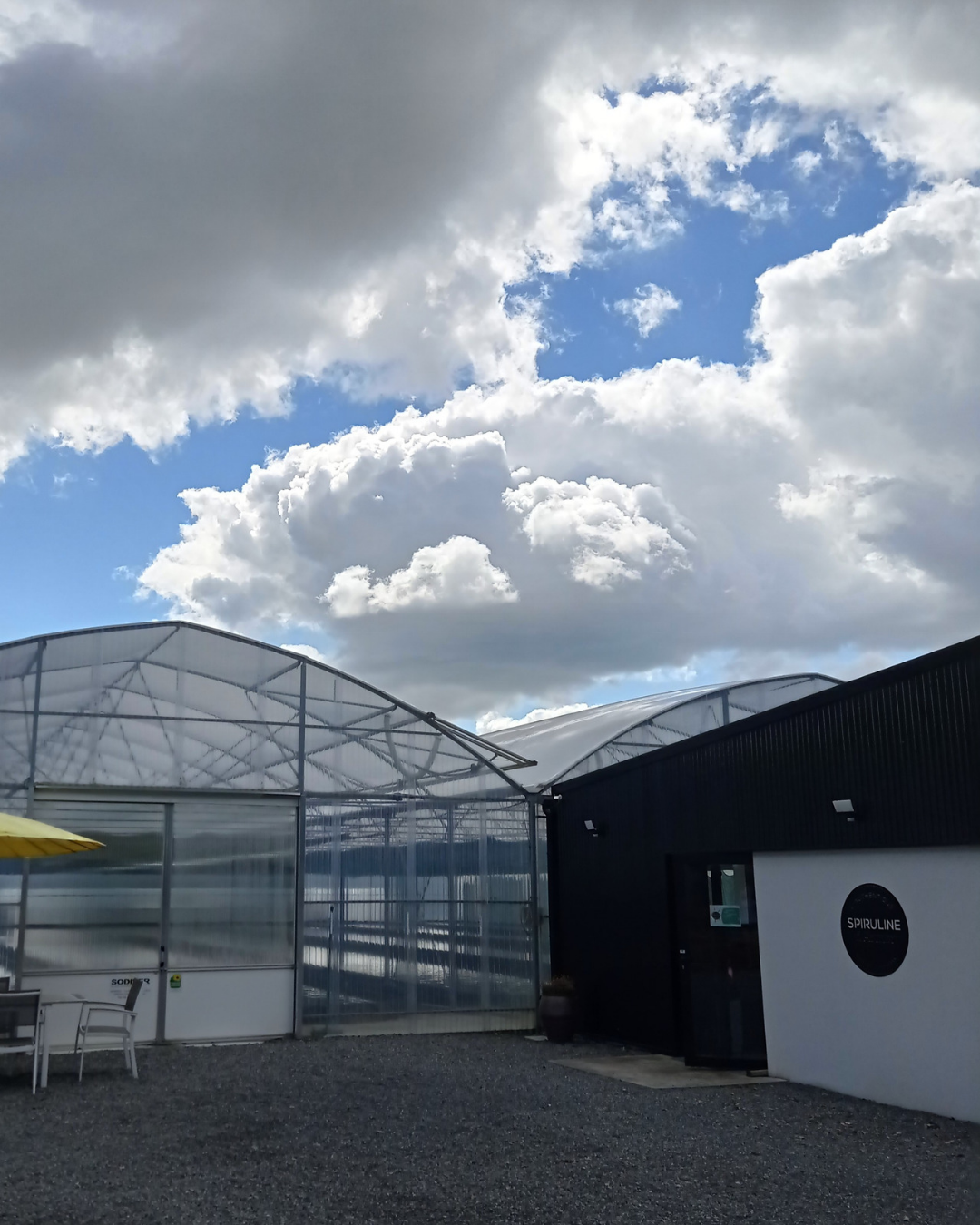 Photo de Spiruline d'Armor