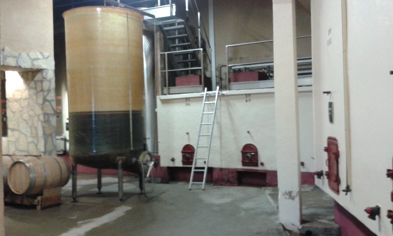 Photo de DEGUSTATION ET VISITE DES CHAI