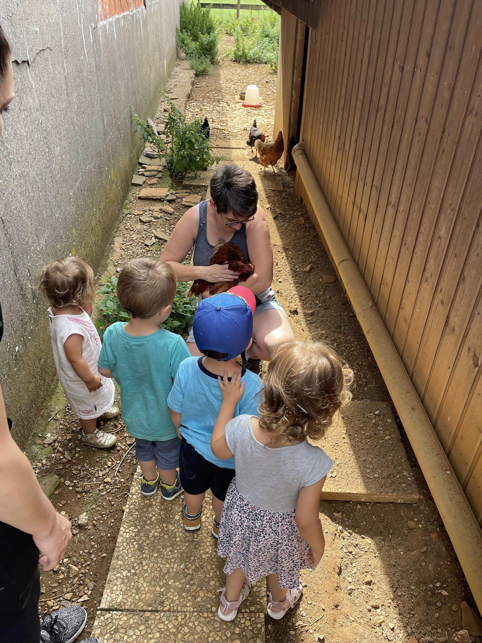 Photo de Visite de le ferme