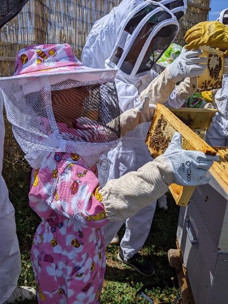 Photo de Baptême d’apiculture pour petits & grands