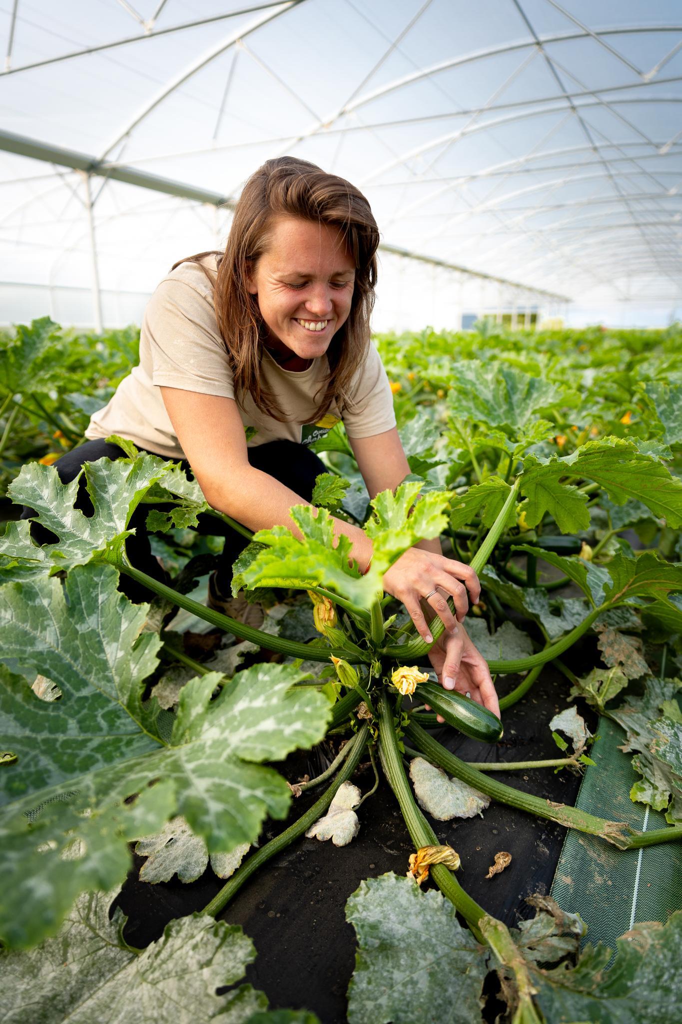 Photo de Cueillette de Torfou