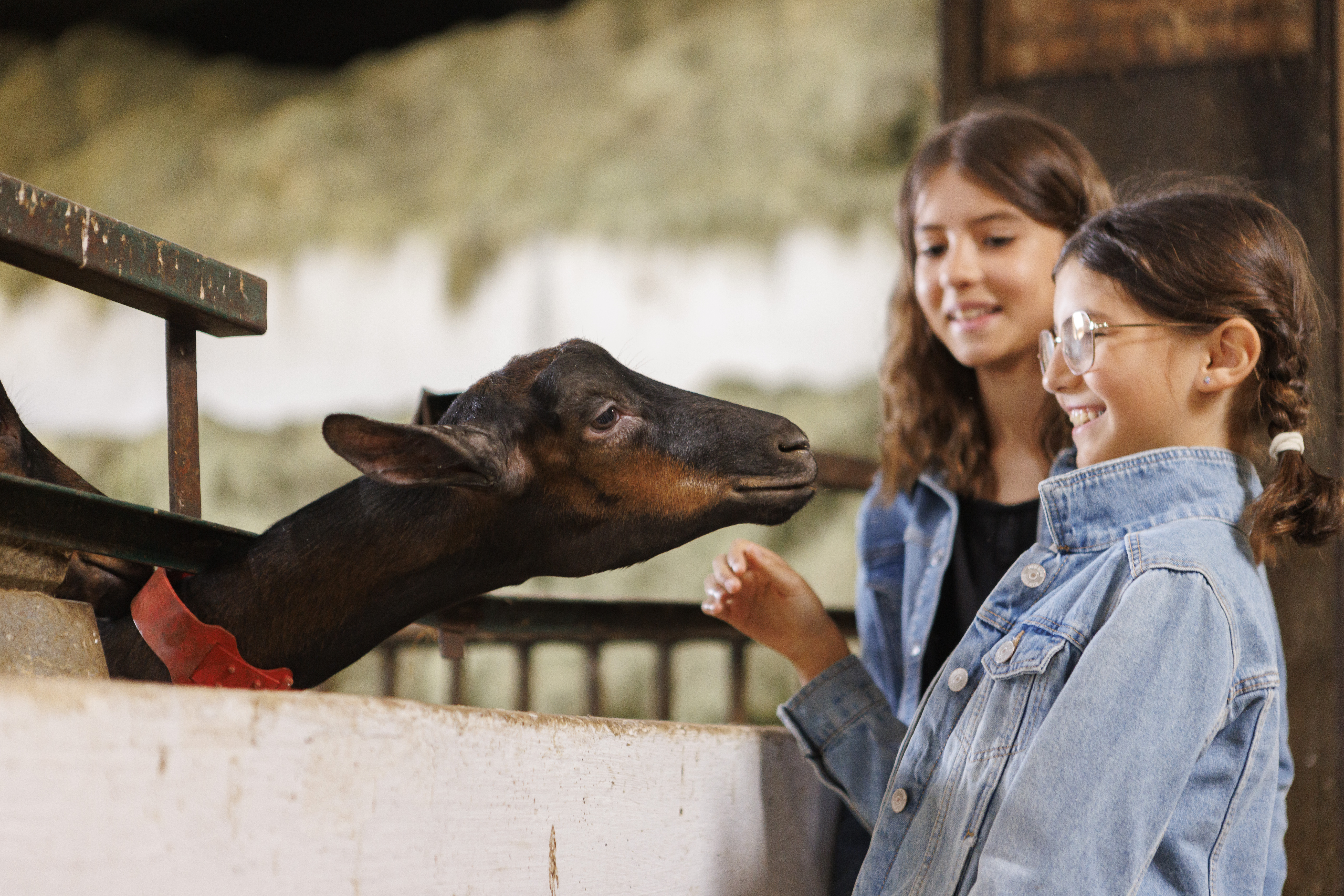 Photo de Ferme la Borie d'Imbert