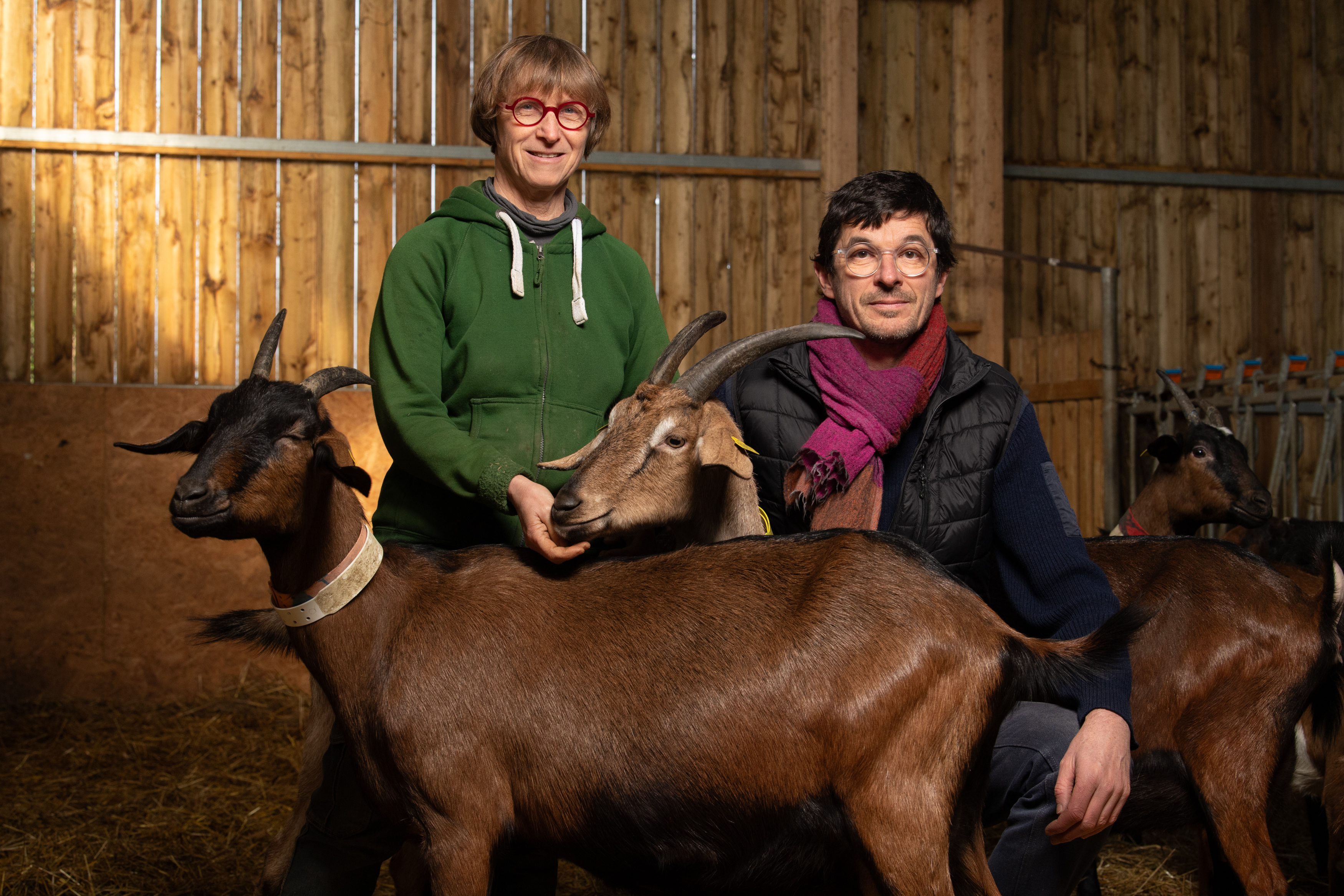 Chèvrerie de la Poterie