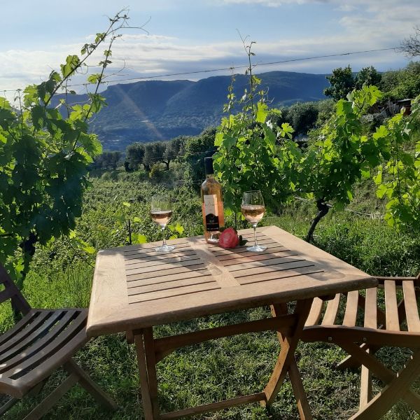 Photo de Visite et dégustation de trois vins 