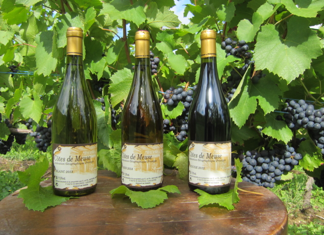 Photo de Domaine de la Goulotte