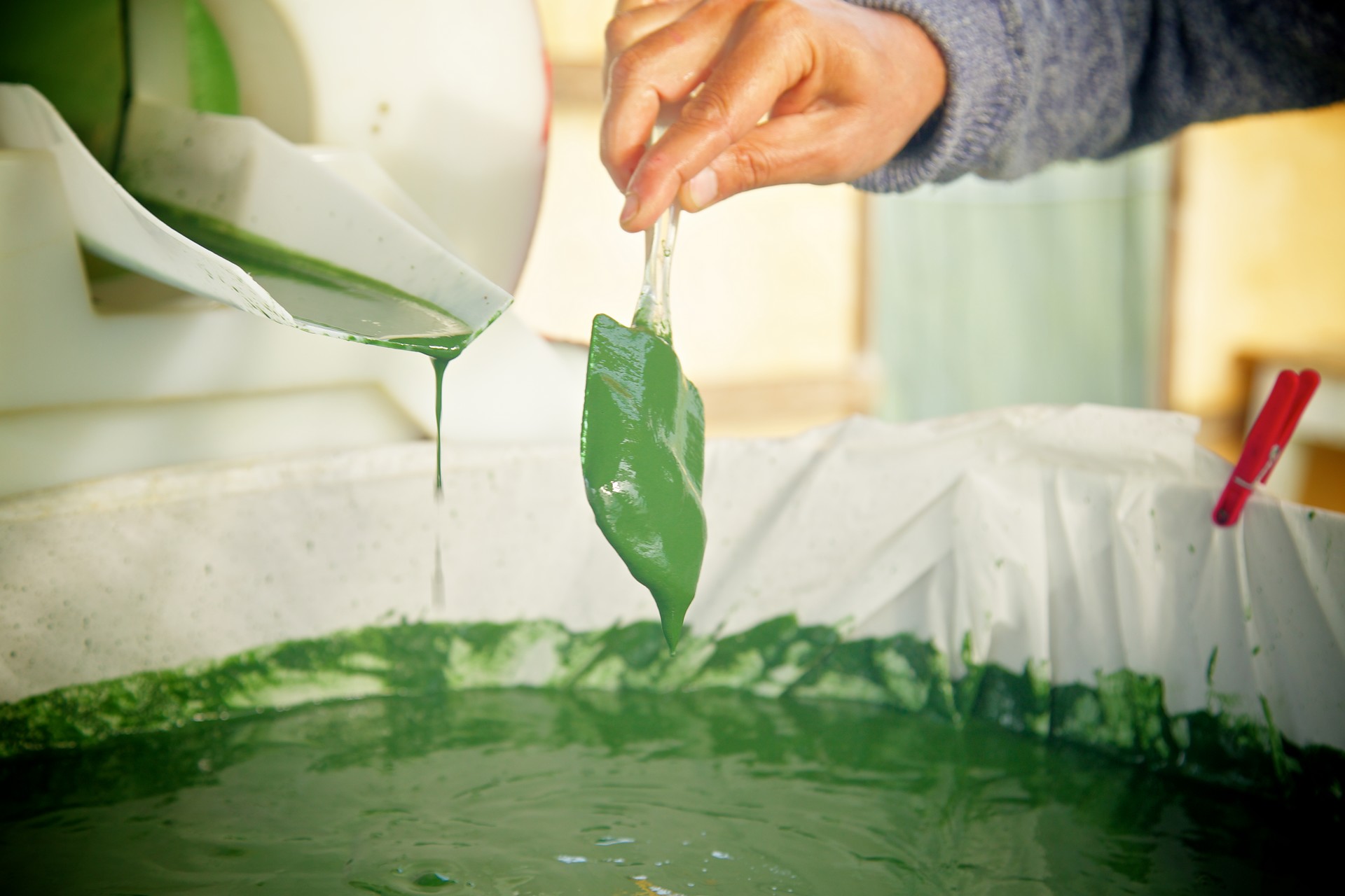 Photo de RdV à la ferme Spiruline d'Aquitaine à Argagnon