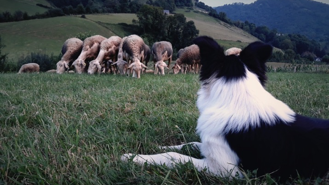 Photo de Ferme Salthun - Argui’Bêl