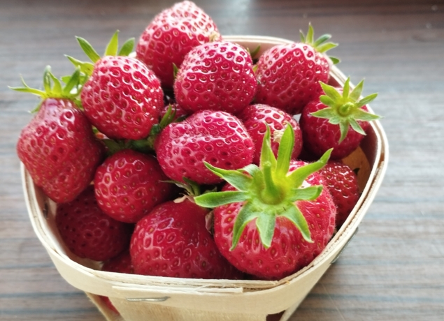 Photo de LES SERRE AU PRE - Thierry Massalve