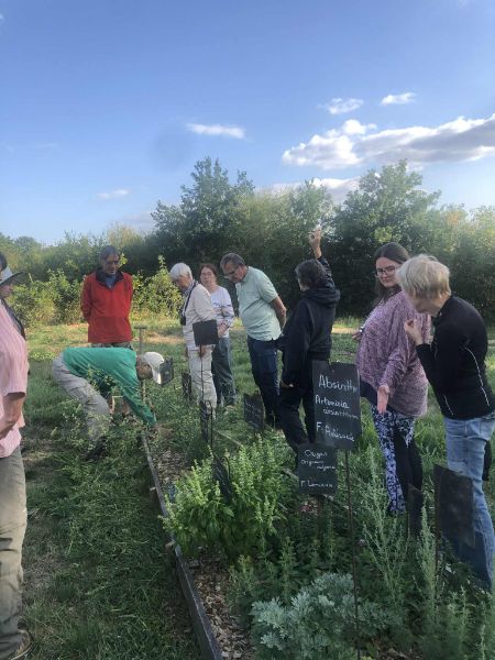 Photo de La visite « Découvrez les plantes médicinales »