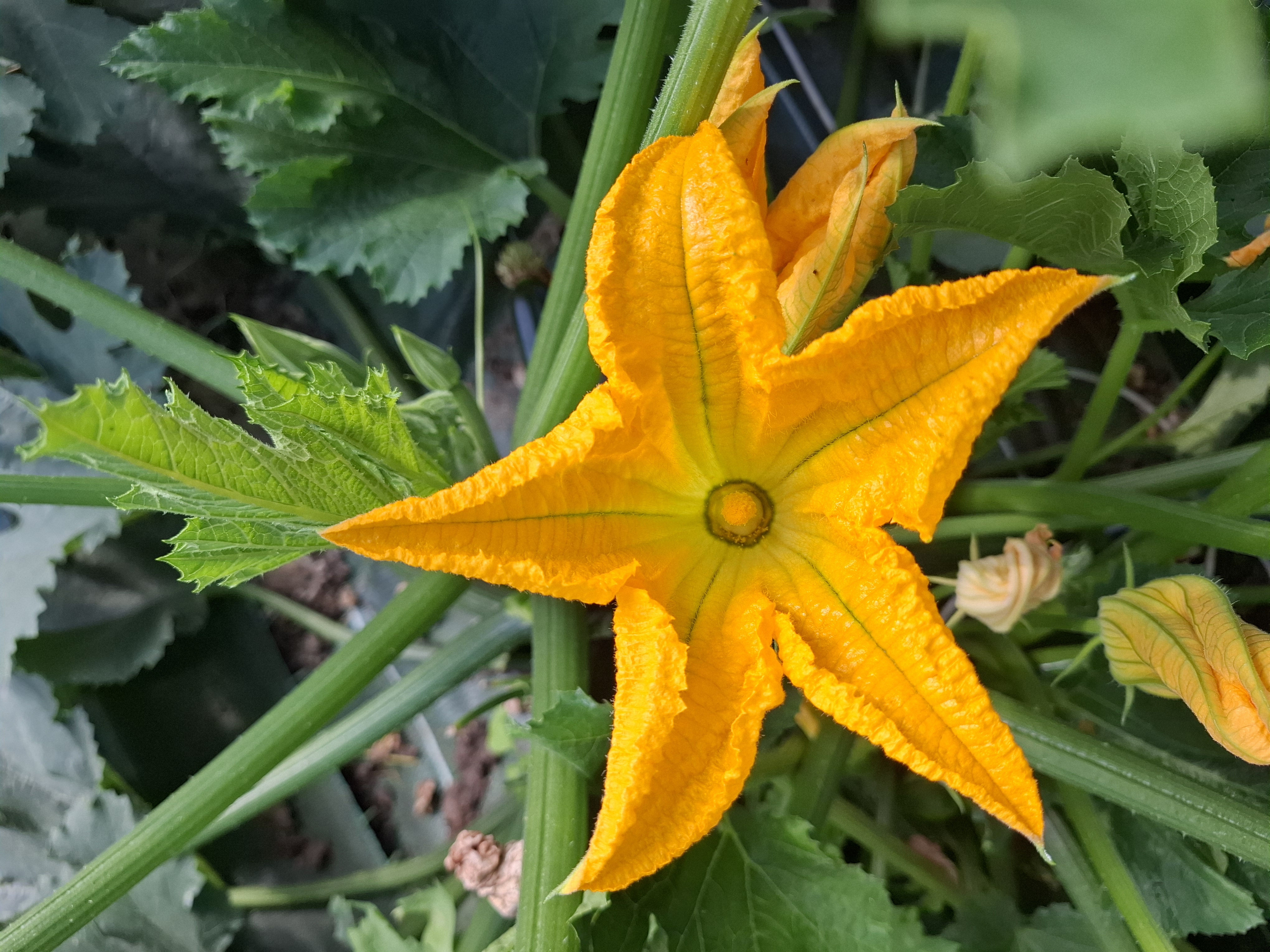 Photo de Le petit coin bio