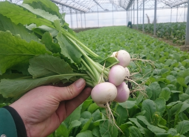 Photo de MAURICE DE POINCY