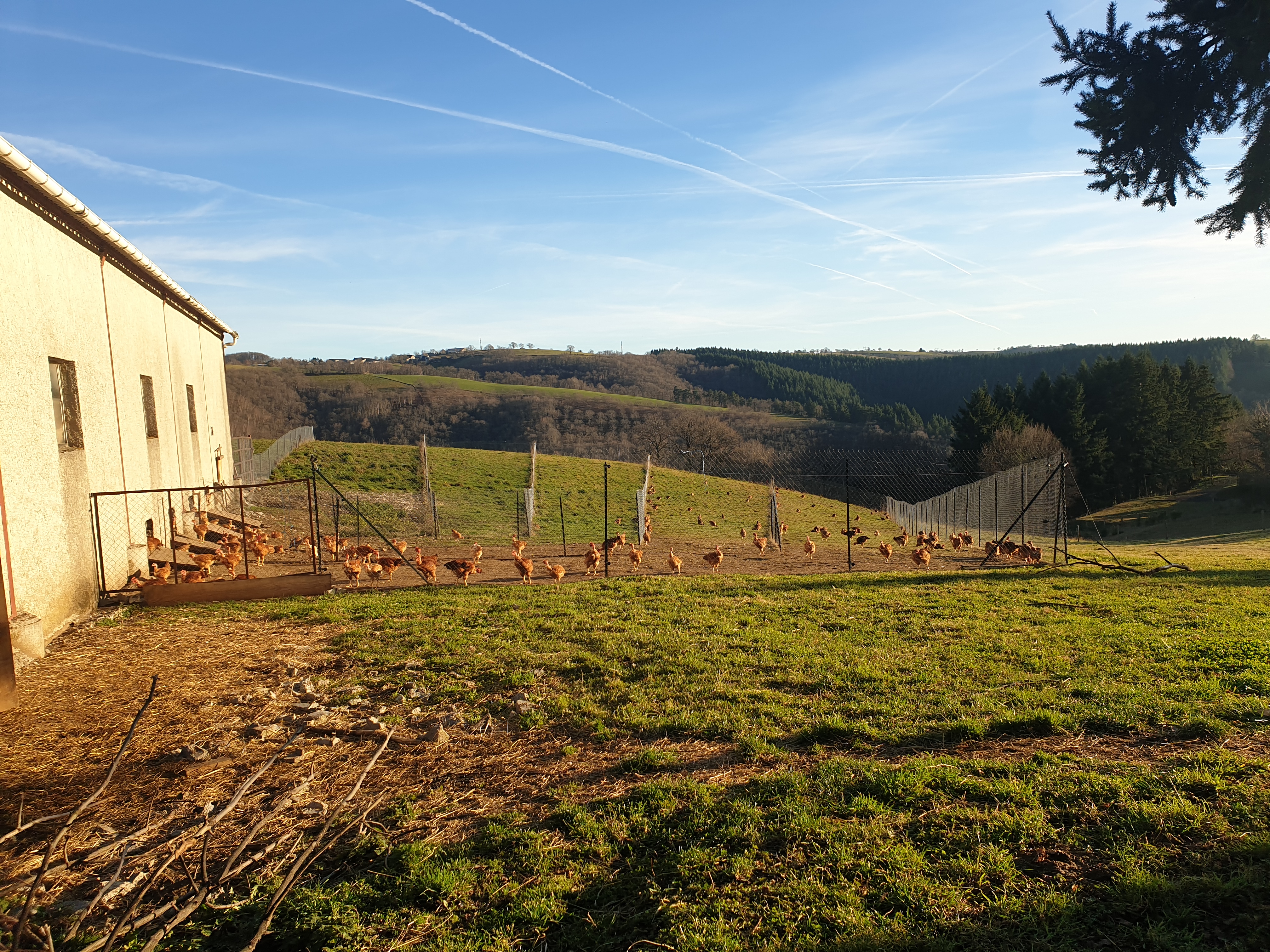 Photo de La Ferme de Murols