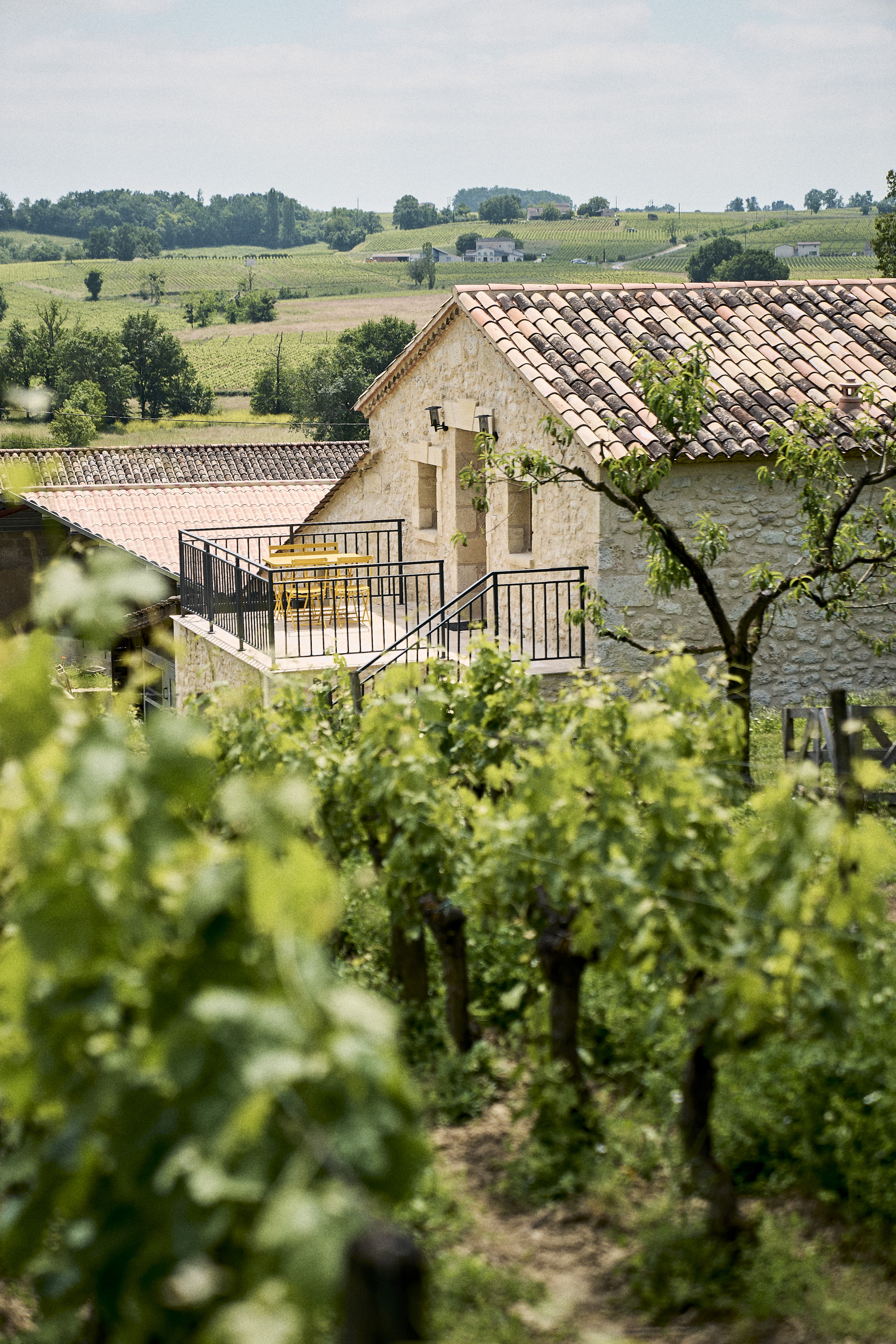 Domaine Baudon
