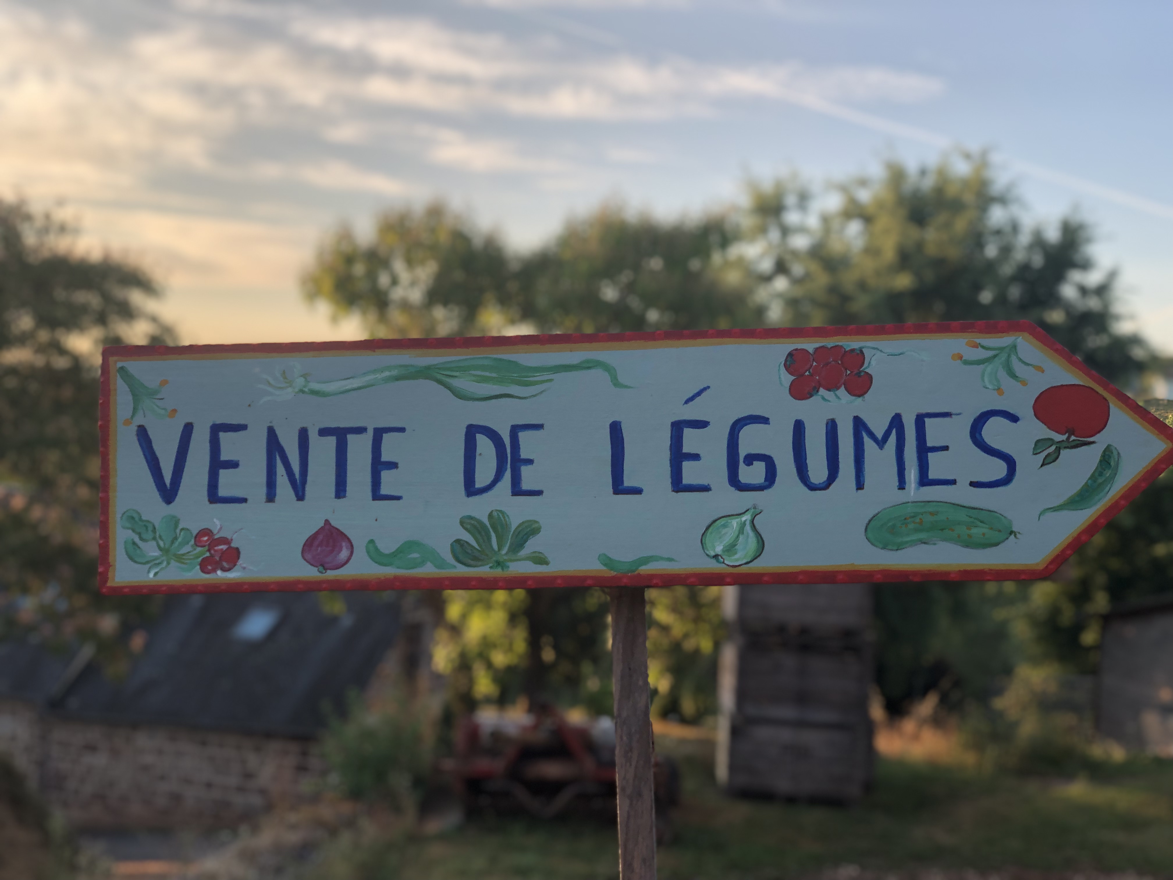 Photo de Charles et Colombe 