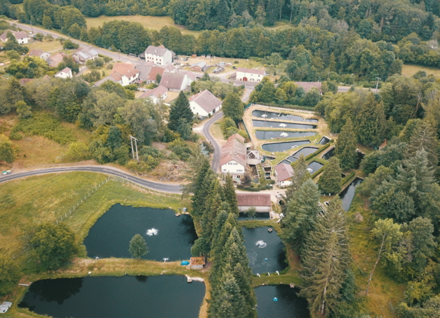 SCEA PISCICULTURE DU BREUCHIN 