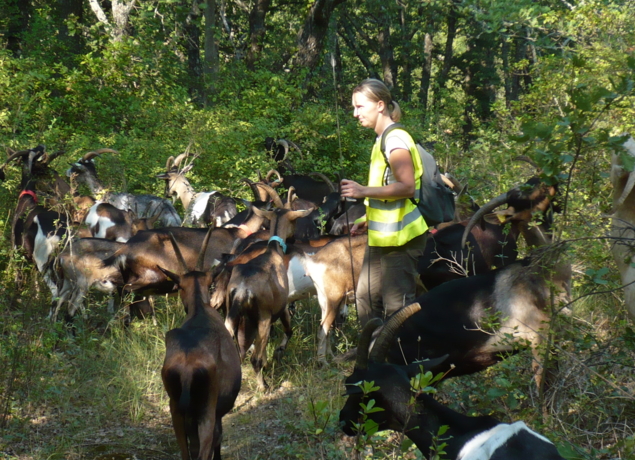 Photo de La chèvrerie des Fontaines