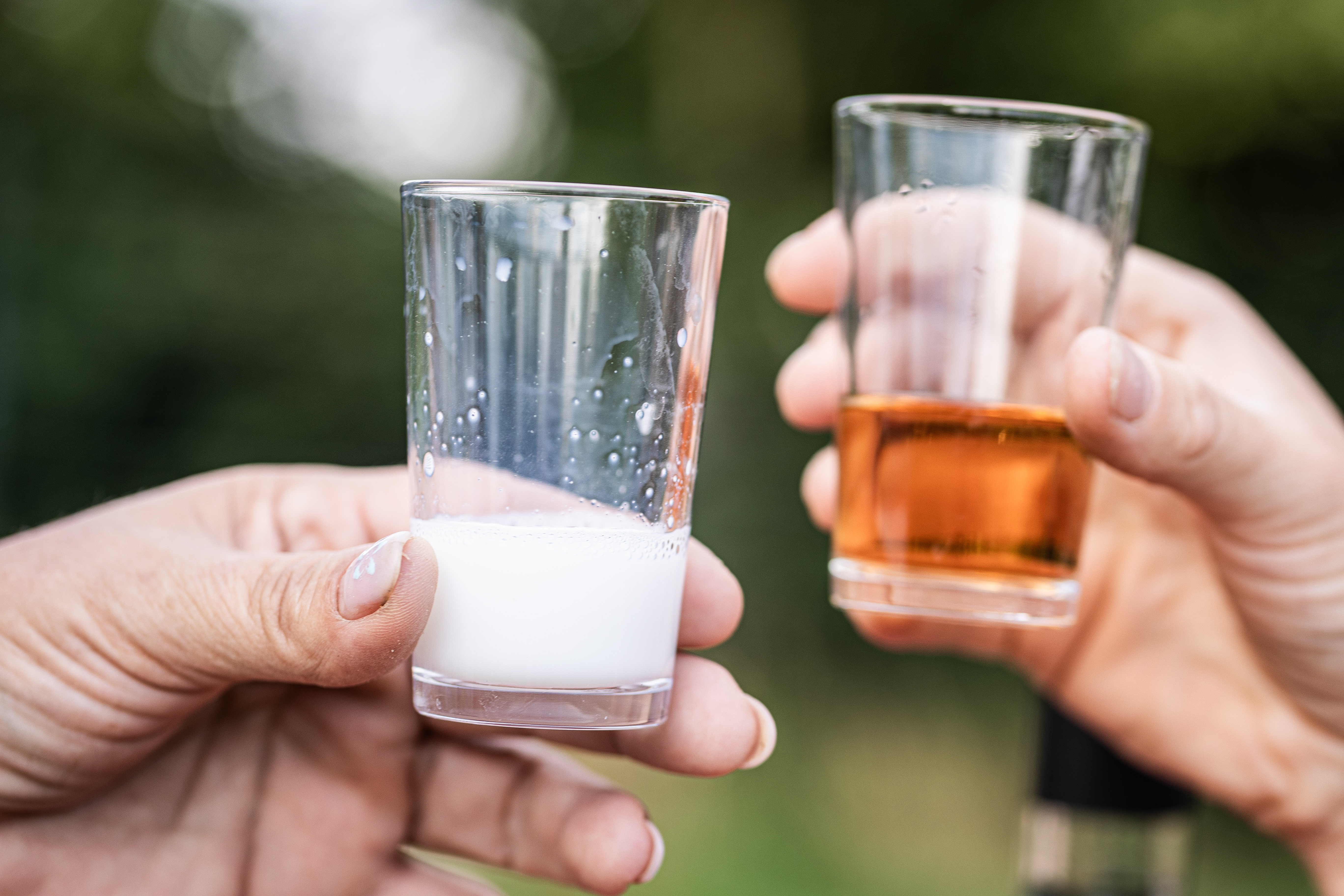 Photo de ASINERIE DE PES VITIS