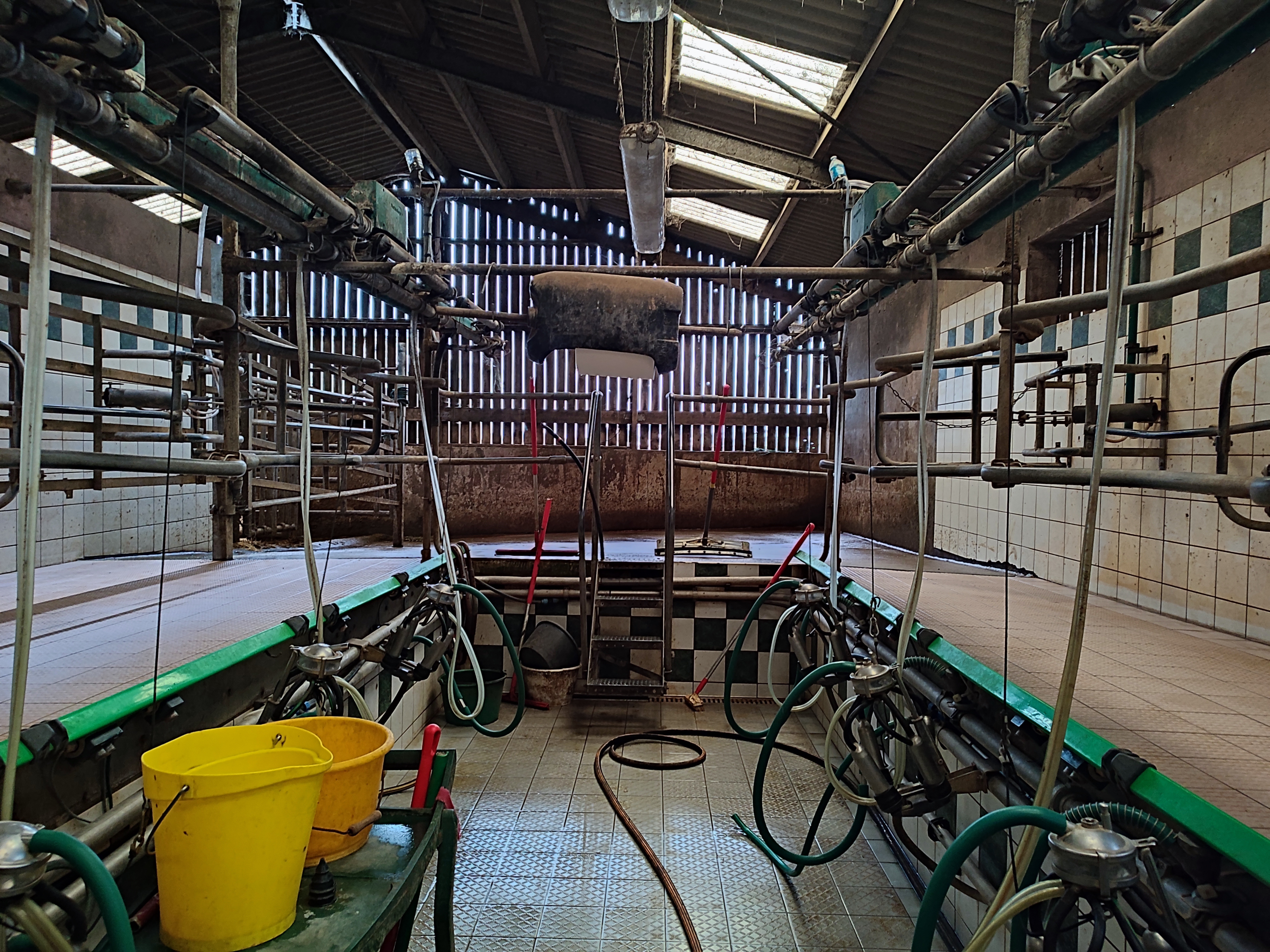 Photo de Traite des vaches