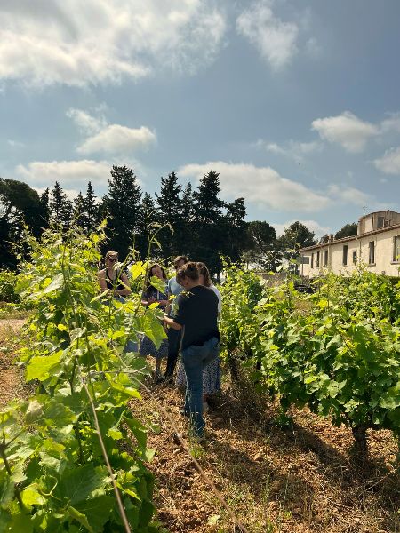 Photo de Balade vigneronne
