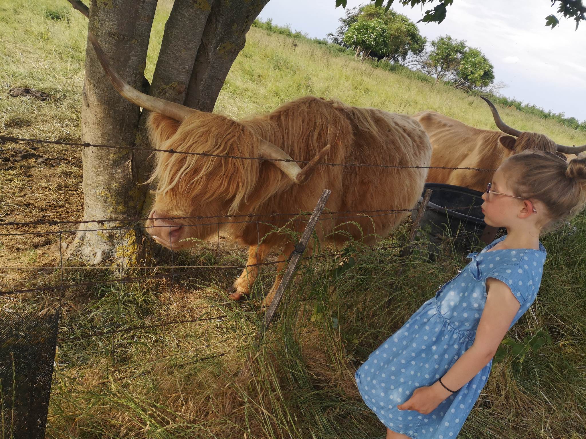 Photo de EARL FERME DEPARIS 